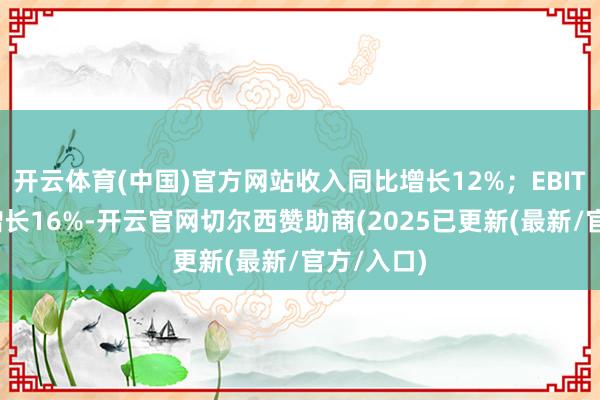 开云体育(中国)官方网站收入同比增长12%；EBITDA同比增长16%-开云官网切尔西赞助商(2025已更新(最新/官方/入口)