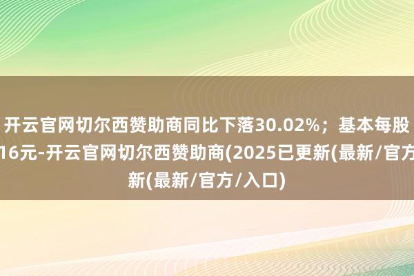 开云官网切尔西赞助商同比下落30.02%；基本每股收益0.16元-开云官网切尔西赞助商(2025已更新(最新/官方/入口)