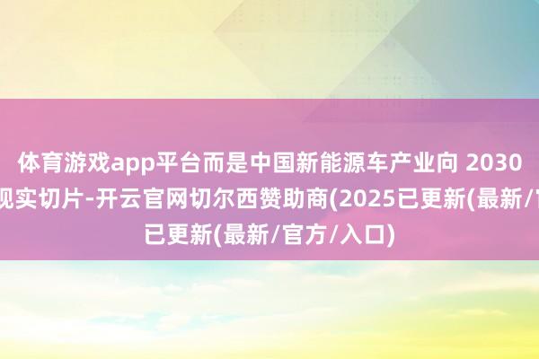 体育游戏app平台而是中国新能源车产业向 2030 年进化的现实切片-开云官网切尔西赞助商(2025已更新(最新/官方/入口)